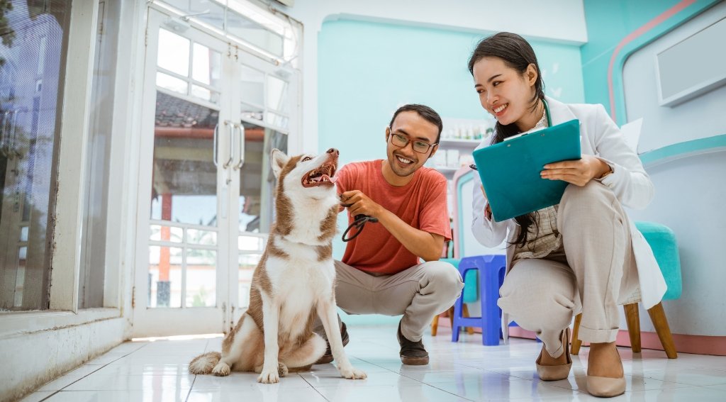Buying a pet care business